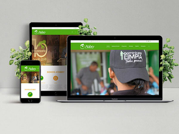 Diseño y desarrollo web profesional en santo domingo