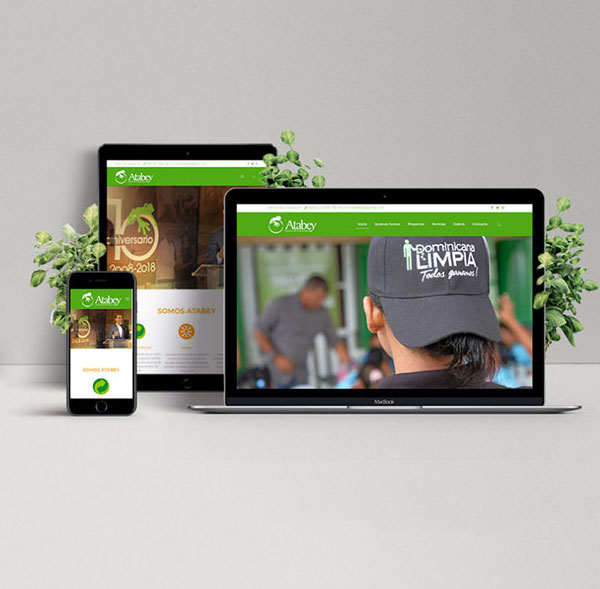 Diseño y desarrollo web profesional en santo domingo